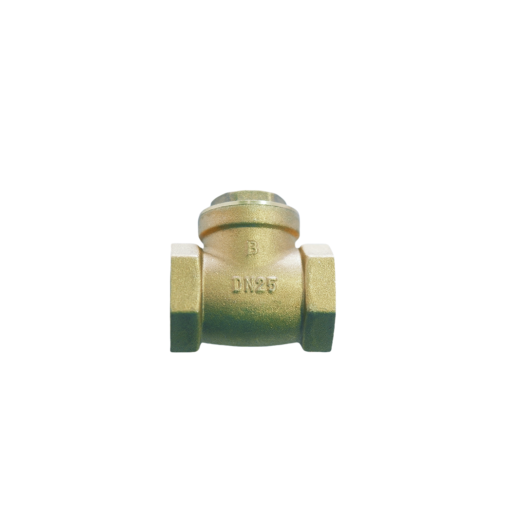 Check Valve