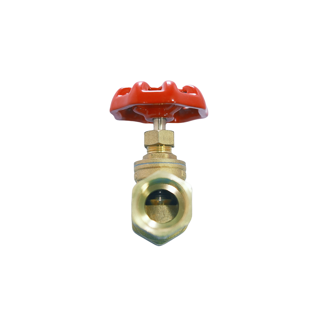 Gate Valve