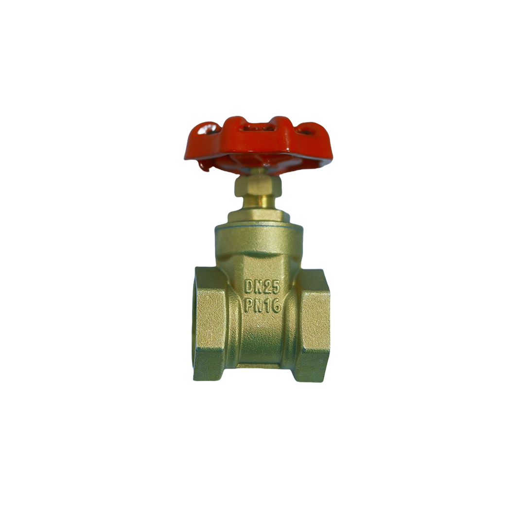 Gate Valve