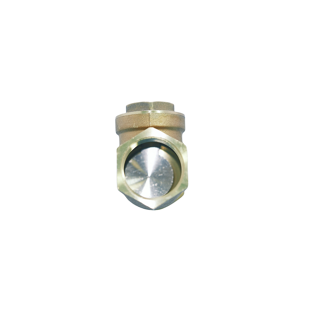 Check Valve